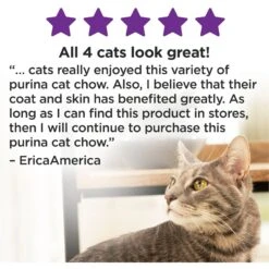 Cat Chow Sensitive Stomach Gentle Dry Cat Food -Wellness Sales Store 100118 PT6. AC SS1800 V1695736857