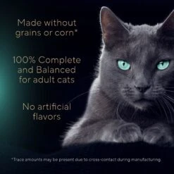 Sheba Gravy Indulgence Salmon Entree In Extra Gravy Grain-Free Adult Wet Cat Food, 2.64-oz Can, Case Of 24 -Wellness Sales Store 1017670 PT3. AC SS1800 V1700599138