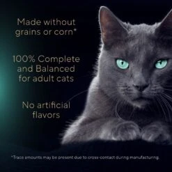 Sheba Gravy Indulgence Chicken & Beef In Extra Gravy Variety Pack Grain-Free Adult Wet Cat Food, 2.64-oz Can, Case Of 12 -Wellness Sales Store 1017678 PT3. AC SS1800 V1700599150