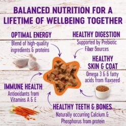 Wellness Complete Health Minced Poultry Pleasers Variety Pack Grain-Free Canned Cat Food 11 Wellness Complete Health Minced Poultry Pleasers Variety Pack Grain-Free Canned Cat Food -Wellness Sales Store 102003 PT2. AC SS1800 V1666649315