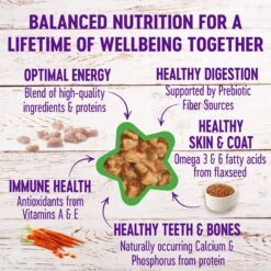 Wellness Complete Health Minced Poultry Pleasers Variety Pack Grain-Free Canned Cat Food 13 Wellness Complete Health Minced Poultry Pleasers Variety Pack Grain-Free Canned Cat Food -Wellness Sales Store 102003 PT4. AC SS1800 V1666651198