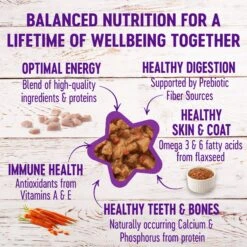 Wellness Complete Health Minced Poultry Pleasers Variety Pack Grain-Free Canned Cat Food 15 Wellness Complete Health Minced Poultry Pleasers Variety Pack Grain-Free Canned Cat Food -Wellness Sales Store 102003 PT6. AC SS1800 V1666650038