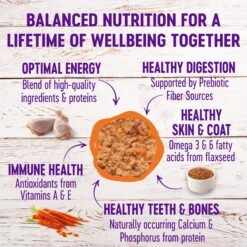 Wellness Complete Health Poultry Lovers Pate Variety Pack Grain-Free Natural Canned Cat Food 11 Wellness Complete Health Poultry Lovers Pate Variety Pack Grain-Free Natural Canned Cat Food -Wellness Sales Store 102005 PT2. AC SS1800 V1666649679