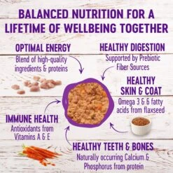 Wellness Complete Health Poultry Lovers Pate Variety Pack Grain-Free Natural Canned Cat Food 12 Wellness Complete Health Poultry Lovers Pate Variety Pack Grain-Free Natural Canned Cat Food -Wellness Sales Store 102005 PT3. AC SS1800 V1666651561