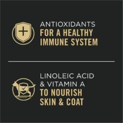 Purina Pro Plan Adult Chicken Entree In Gravy Canned Cat Food -Wellness Sales Store 102295 PT3. AC SS1800 V1674494923