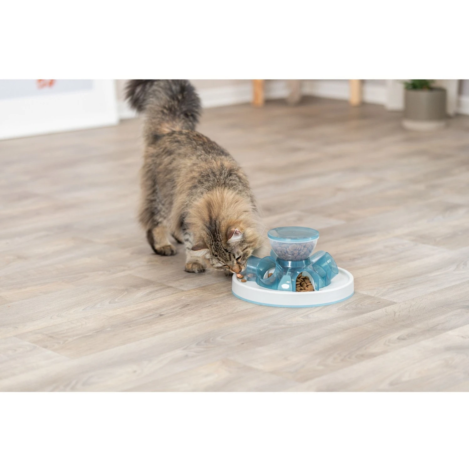 TRIXIE Activity Strategy Game Tunnel Non-Skid Plastic Slow Feeder Cat Toy 5 TRIXIE Activity Strategy Game Tunnel Non-Skid Plastic Slow Feeder Cat Toy - Image 5