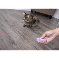 SmartyKat Feline Flash Laser Pointer Cat Toy -Wellness Sales Store 107603 PT2. AC SS1800 V1599754693