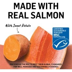 Purina Beyond Wild Alaskan Salmon & Sweet Potato Recipe In Gravy Canned Cat Food -Wellness Sales Store 112048 PT3. AC SS1800 V1700158958