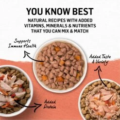 Purina Beyond Wild Alaskan Salmon & Sweet Potato Recipe In Gravy Canned Cat Food -Wellness Sales Store 112048 PT6. AC SS1800 V1699391910