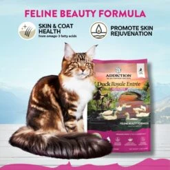 Addiction Grain-Free Duck Royale Dry Cat Food 9 Addiction Grain-Free Duck Royale Dry Cat Food -Wellness Sales Store 112845 PT2. AC SS1800 V1699027923