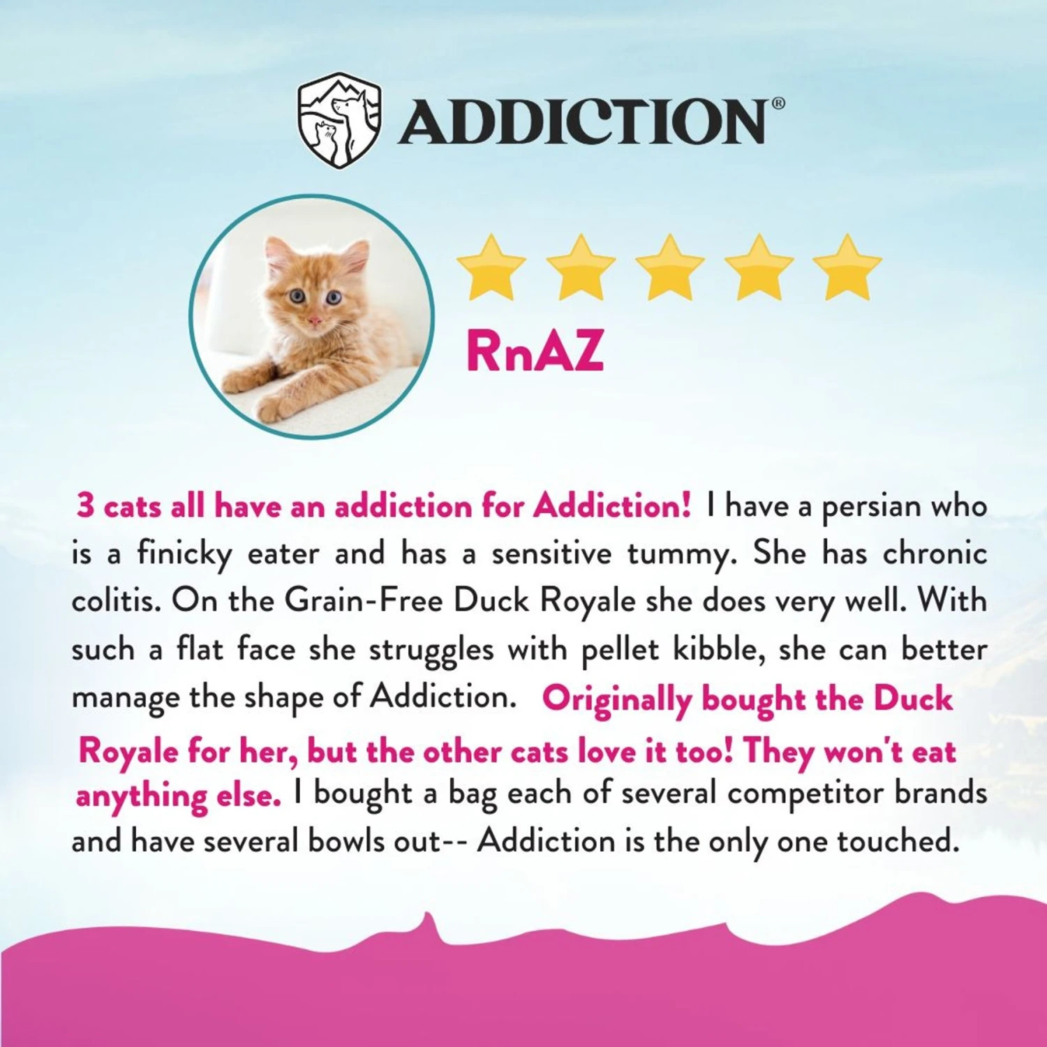 Addiction Grain-Free Duck Royale Dry Cat Food 5 Addiction Grain-Free Duck Royale Dry Cat Food - Image 5