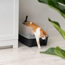 IRIS USA Open Top Litter Box With Scatter Shield & Scoop 14 IRIS USA Open Top Litter Box With Scatter Shield & Scoop -Wellness Sales Store 116462 PT6. AC SS1800 V1680809081