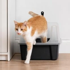 IRIS USA Open Top Litter Box With Scatter Shield & Scoop 15 IRIS USA Open Top Litter Box With Scatter Shield & Scoop -Wellness Sales Store 116462 PT7. AC SS1800 V1680808961
