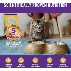Wellness Natural Grain-Free Gravies Salmon Entree Canned Cat Food -Wellness Sales Store 118862 PT4. AC SS1800 V1695837058