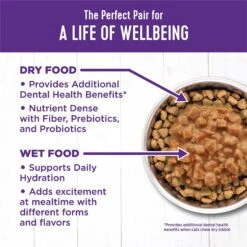 Wellness Natural Grain-Free Gravies Salmon Entree Canned Cat Food -Wellness Sales Store 118862 PT5. AC SS1800 V1695839477