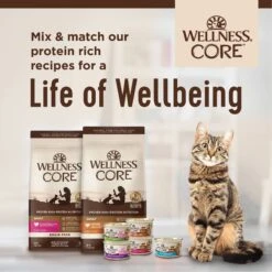 Wellness CORE Natural Grain-Free Turkey & Chicken Liver Pate Canned Kitten Food 15 Wellness CORE Natural Grain-Free Turkey & Chicken Liver Pate Canned Kitten Food -Wellness Sales Store 118868 PT7. AC SS1800 V1695827003