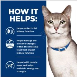 Hill's Prescription Diet K/d Kidney Care + Mobility Care With Chicken & Vegetable Stew Canned Cat Food 14 Hill's Prescription Diet K/d Kidney Care + Mobility Care With Chicken & Vegetable Stew Canned Cat Food -Wellness Sales Store 122117 PT5. AC SS1800 V1688759905