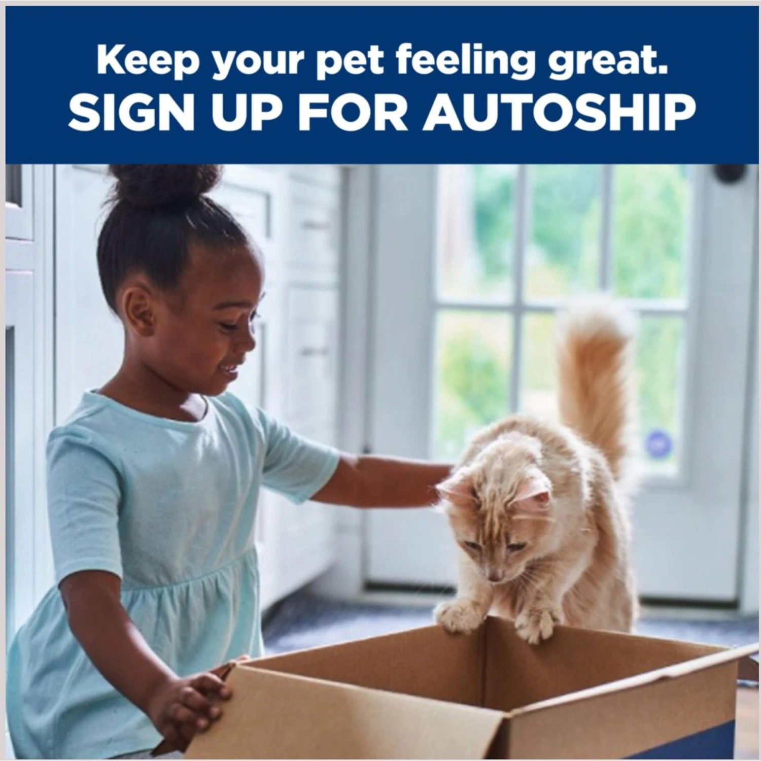 Hill's Prescription Diet K/d Kidney Care + Mobility Care With Chicken & Vegetable Stew Canned Cat Food 9 Hill's Prescription Diet K/d Kidney Care + Mobility Care With Chicken & Vegetable Stew Canned Cat Food - Image 9