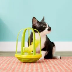 Pet Zone Caged Canary Interactive Cat Toy -Wellness Sales Store 122850 PT5. AC SS1800 V1527258035