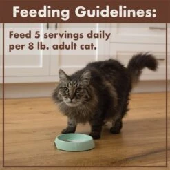 Nutro Perfect Portions Grain-Free Cuts In Gravy Beef Recipe Cat Food Trays -Wellness Sales Store 128579 PT7. AC SS1800 V1702678407