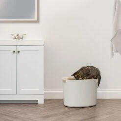 IRIS USA Round Top Entry Cat Litter Box & Scoop -Wellness Sales Store 130345 PT2. AC SS1800 V1680881119