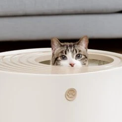 IRIS USA Round Top Entry Cat Litter Box & Scoop -Wellness Sales Store 130345 PT3. AC SS1800 V1680882123