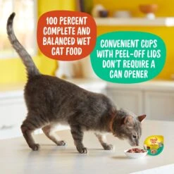 Meow Mix Tenders In Sauce With Real Chicken & Liver Wet Cat Food -Wellness Sales Store 130526 PT5. AC SS1800 V1674772433