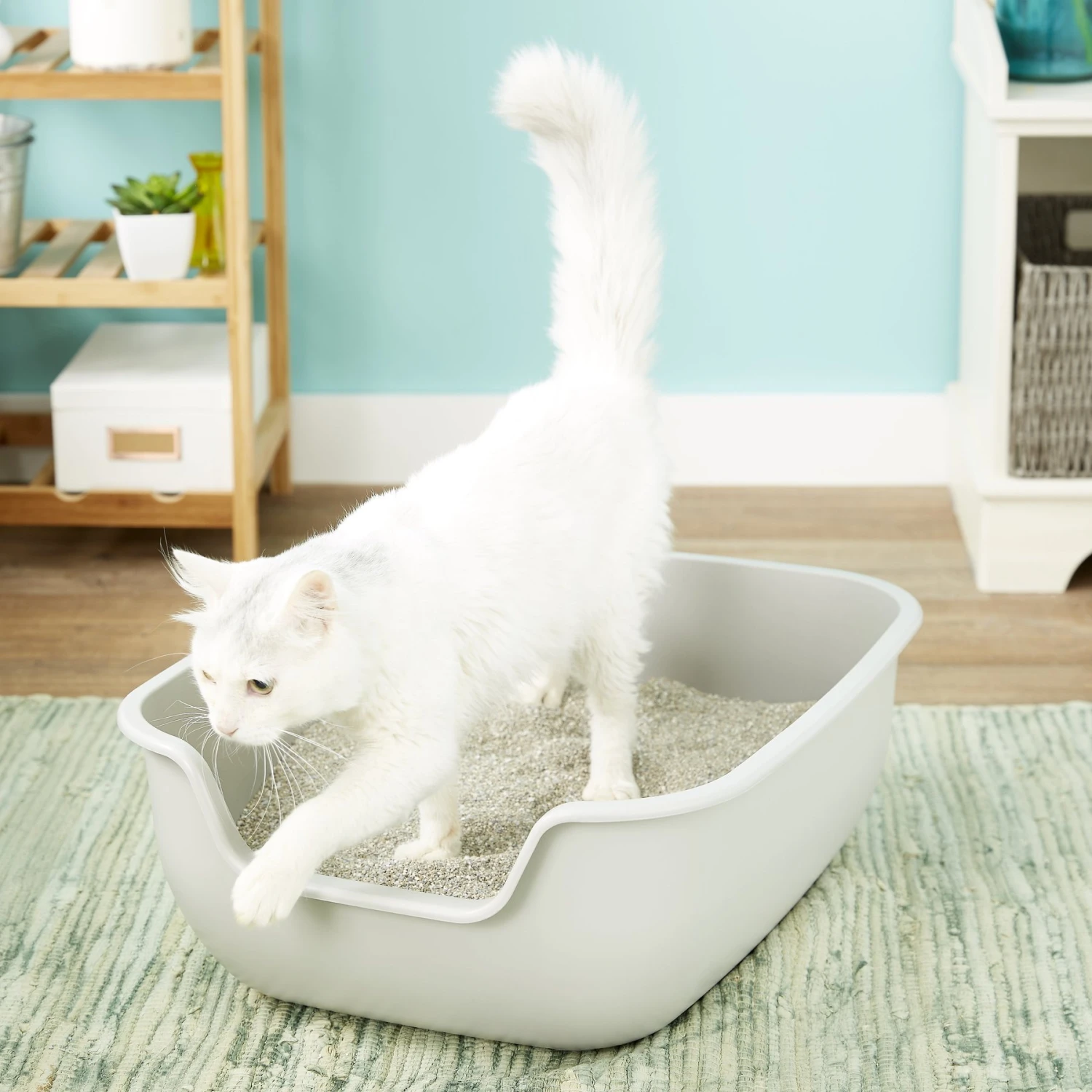 PetFusion BetterBox Non-Stick Cat Litter Box 1 PetFusion BetterBox Non-Stick Cat Litter Box