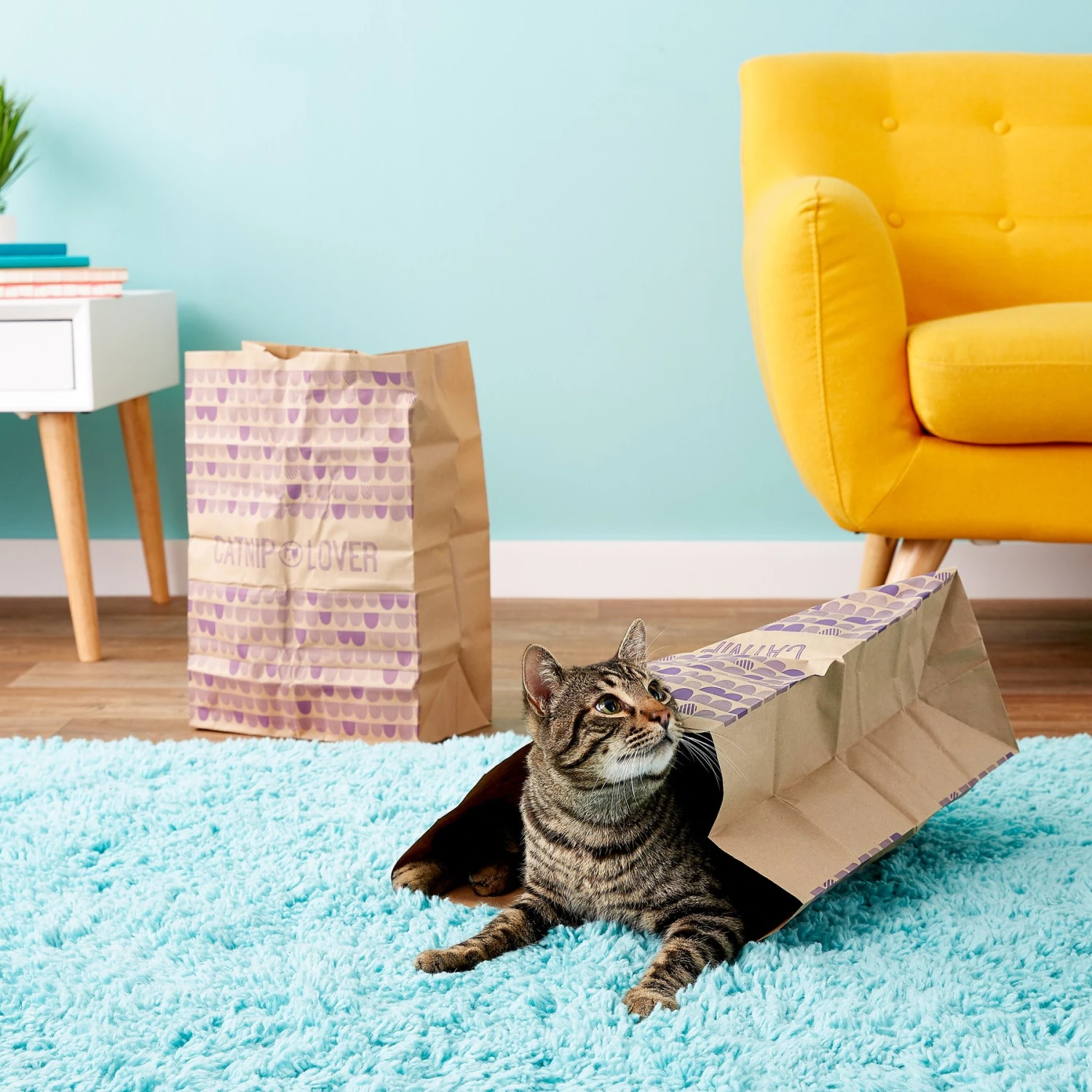 SmartyKat Cat Caves Catnip Infused Paper Bags, 2 Count 6 SmartyKat Cat Caves Catnip Infused Paper Bags, 2 Count - Image 6