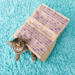 SmartyKat Cat Caves Catnip Infused Paper Bags, 2 Count 13 SmartyKat Cat Caves Catnip Infused Paper Bags, 2 Count -Wellness Sales Store 137534 PT6. AC SS1800 V1525718348