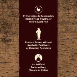 Castor & Pollux PRISTINE Grain-Free Wild-Caught Whitefish Recipe Morsels In Gravy Cat Food Pouches -Wellness Sales Store 141145 PT3. AC SS1800 V1702939229