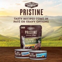 Castor & Pollux PRISTINE Grain-Free Wild-Caught Whitefish Recipe Morsels In Gravy Cat Food Pouches -Wellness Sales Store 141145 PT4. AC SS1800 V1702939190