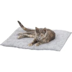 K.T. Manufacturing Purr Padd Cat Bed Mat 9 K.T. Manufacturing Purr Padd Cat Bed Mat -Wellness Sales Store 141224 PT2. AC SS1800 V1565383659