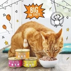 Tiny Tiger Pate Turkey & Giblets Recipe Grain-Free Canned Cat Food -Wellness Sales Store 141881 PT4. AC SS1800 V1687286227