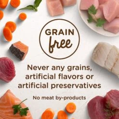 Rachael Ray Nutrish Purrfect Entrees Grain-Free Fin-Tastic Primavera With Yellowfin Tuna & Veggies In Savory Sauce Wet Cat Food -Wellness Sales Store 142431 PT4. AC SS1800 V1535637164