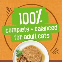 Friskies Extra Gravy Pate With Chicken In Savory Gravy Canned Cat Food 14 Friskies Extra Gravy Pate With Chicken In Savory Gravy Canned Cat Food -Wellness Sales Store 142579 PT5. AC SS1800 V1699369727