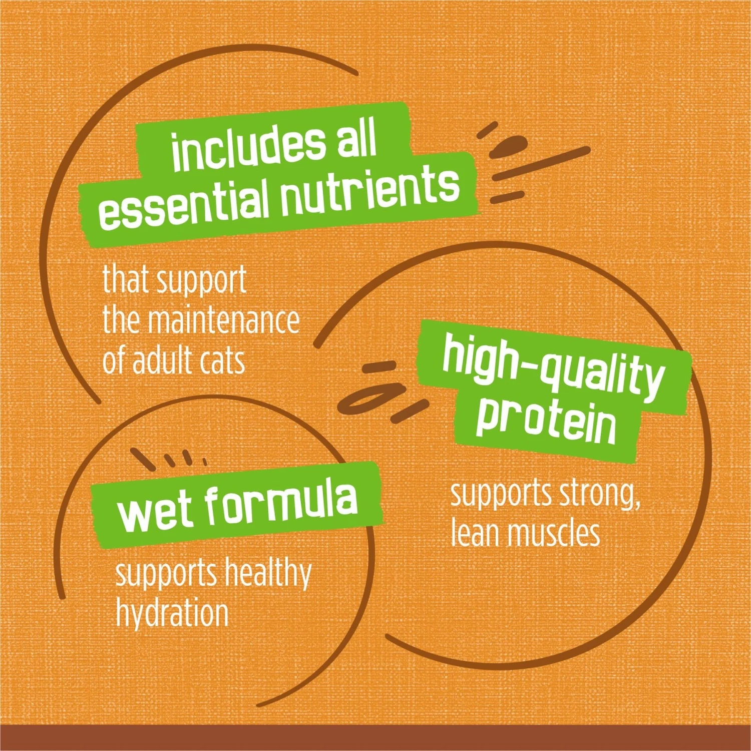 Friskies Extra Gravy Pate With Chicken In Savory Gravy Canned Cat Food 8 Friskies Extra Gravy Pate With Chicken In Savory Gravy Canned Cat Food - Image 8