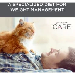 Diamond Care Weight Management Formula Adult Grain-Free Dry Cat Food -Wellness Sales Store 143254 PT4. AC SS1800 V1587655852