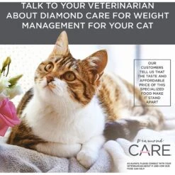 Diamond Care Weight Management Formula Adult Grain-Free Dry Cat Food -Wellness Sales Store 143254 PT6. AC SS1800 V1587655853