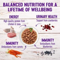 Wellness Healthy Indulgence Gravies Grain-Free Variety Pack Cat Food Pouches -Wellness Sales Store 145533 PT3. AC SS1800 V1621989505