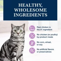 Blue Buffalo Natural Veterinary Diet W+U Weight Management + Urinary Care Grain-Free Dry Cat Food -Wellness Sales Store 147682 PT5. AC SS1800 V1703091386