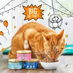 Tiny Tiger Chunks In Gravy Salmon & Whitefish Recipe Grain-Free Canned Cat Food -Wellness Sales Store 147758 PT4. AC SS1800 V1687284456