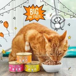Tiny Tiger Chunks In Gravy Beef & Poultry Recipes Variety Pack Grain-Free Canned Cat Food 12 Tiny Tiger Chunks In Gravy Beef & Poultry Recipes Variety Pack Grain-Free Canned Cat Food -Wellness Sales Store 147768 PT4. AC SS1800 V1671733302