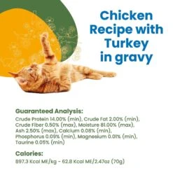 Almo Nature HQS Complete Chicken With Turkey Grain-Free Canned Cat Food -Wellness Sales Store 150645 PT4. AC SS1800 V1639539100