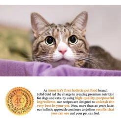 Solid Gold Triple Layer Mousse & Shreds With Real Beef & Pumpkin Wet Cat Food 6 Solid Gold Triple Layer Mousse & Shreds With Real Beef & Pumpkin Wet Cat Food -Wellness Sales Store 150938 PT4. AC SS1800 V1534859175