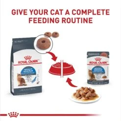 Royal Canin Feline Care Nutrition Weight Care Adult Chunks In Gravy Pouch Cat Food, 3-oz, Case Of 12 -Wellness Sales Store 151279 PT5. AC SS1800 V1694790489