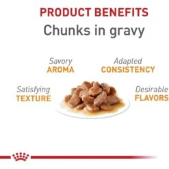 Royal Canin Feline Care Nutrition Hair & Skin Care Chunks In Gravy Pouch Cat Food, 3-oz, Case Of 12 -Wellness Sales Store 151283 PT2. AC SS1800 V1697760224