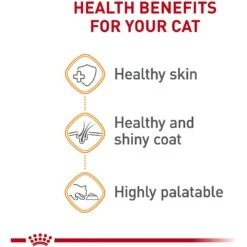 Royal Canin Feline Care Nutrition Hair & Skin Care Chunks In Gravy Pouch Cat Food, 3-oz, Case Of 12 -Wellness Sales Store 151283 PT3. AC SS1800 V1697761937