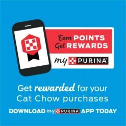 Kitten Chow Naturals Original With Added Vitamins, Minerals & Nutrients Dry Cat Food 16 Kitten Chow Naturals Original With Added Vitamins, Minerals & Nutrients Dry Cat Food -Wellness Sales Store 155804 PT7. AC SS1800 V1695836521