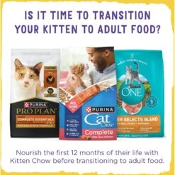 Kitten Chow Naturals Original With Added Vitamins, Minerals & Nutrients Dry Cat Food 17 Kitten Chow Naturals Original With Added Vitamins, Minerals & Nutrients Dry Cat Food -Wellness Sales Store 155804 PT8. AC SS1800 V1695740175